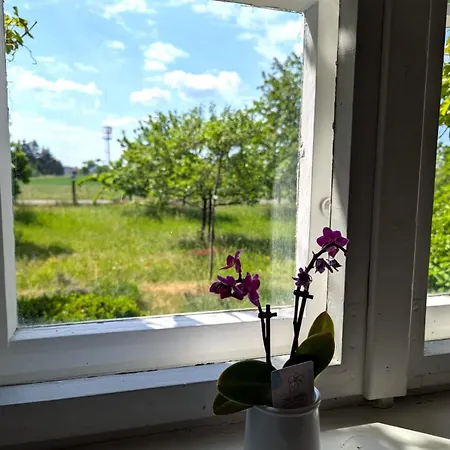 Alte Dorfschule Sacro Apartment *